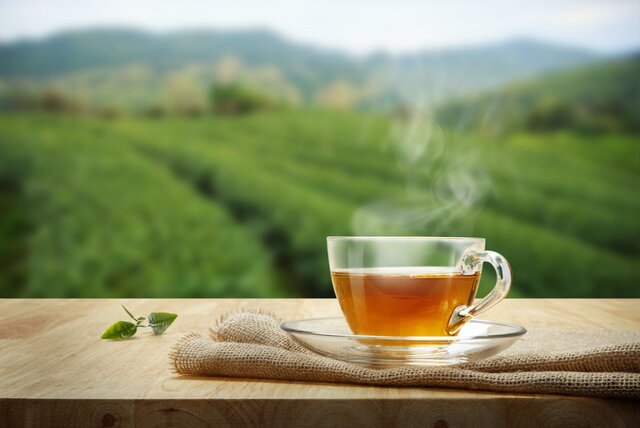 روش دم کردن چای شمال