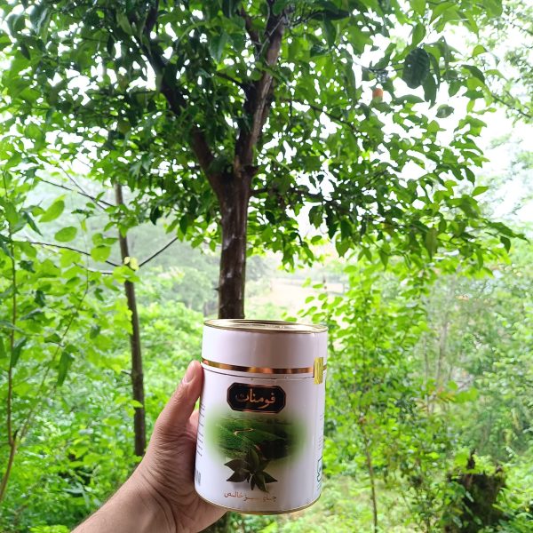 چای سبز فومنات