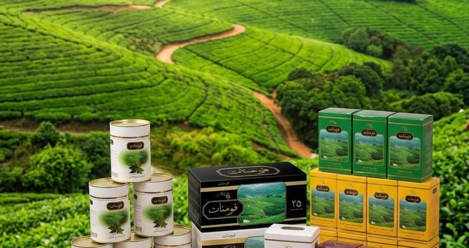 چای فومنات