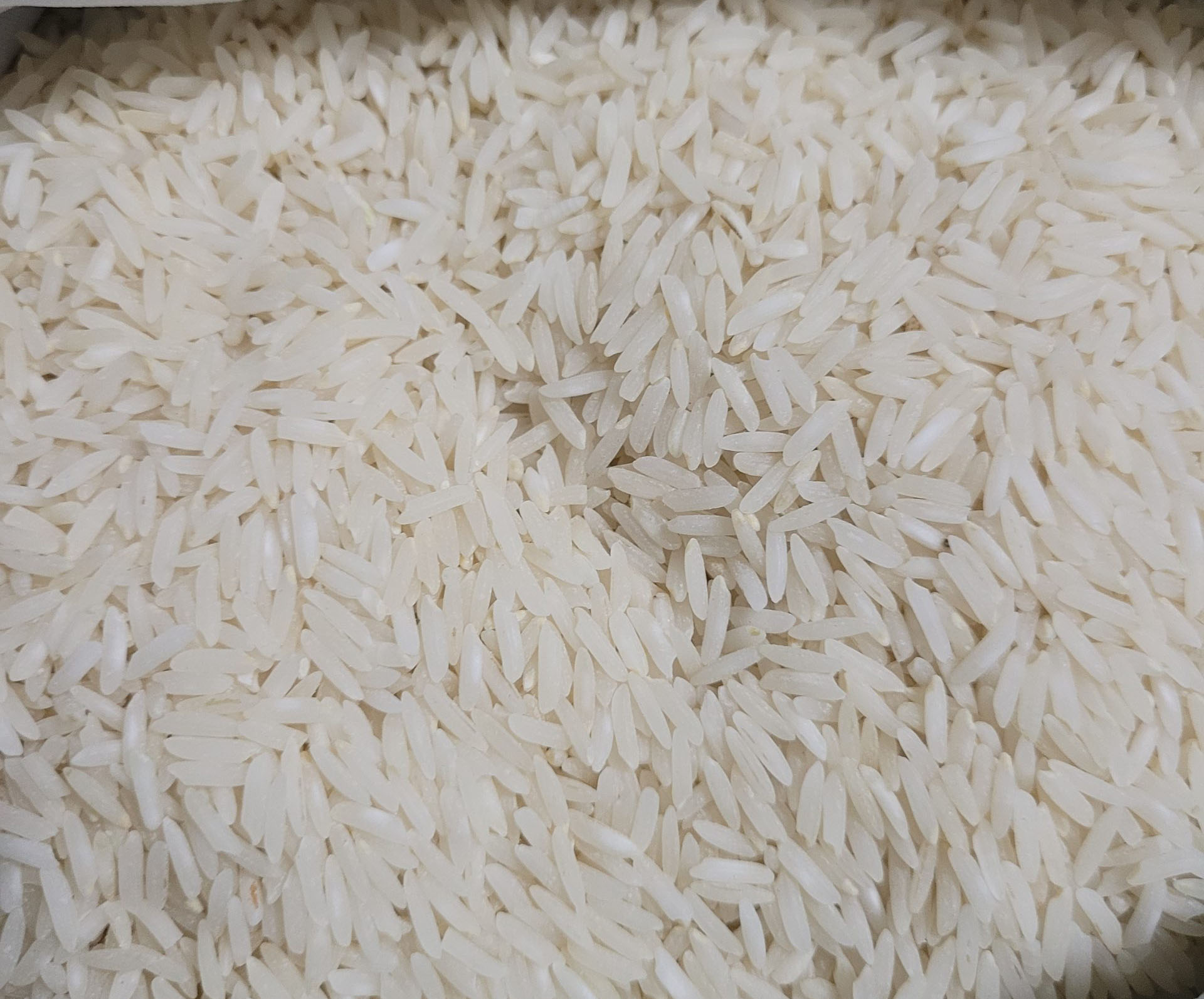 برنج صدری
