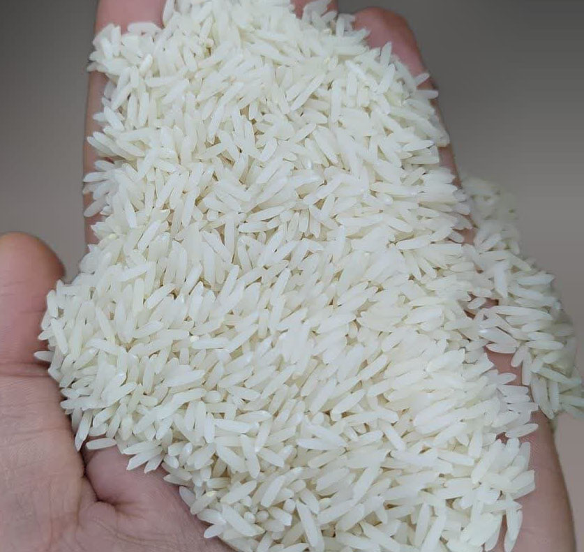 برنج دم سیاه