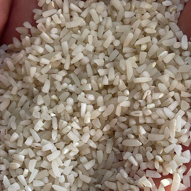 نیم دانه